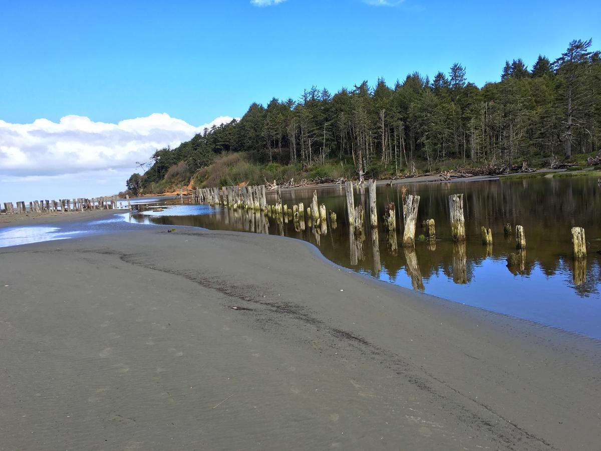 Hi-Tide Ocean Beach Resort 莫克利普斯 外观 照片